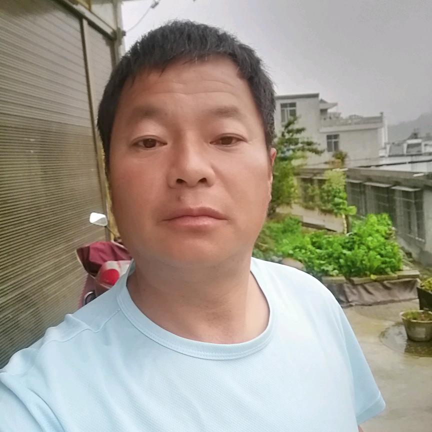 单身贵族。