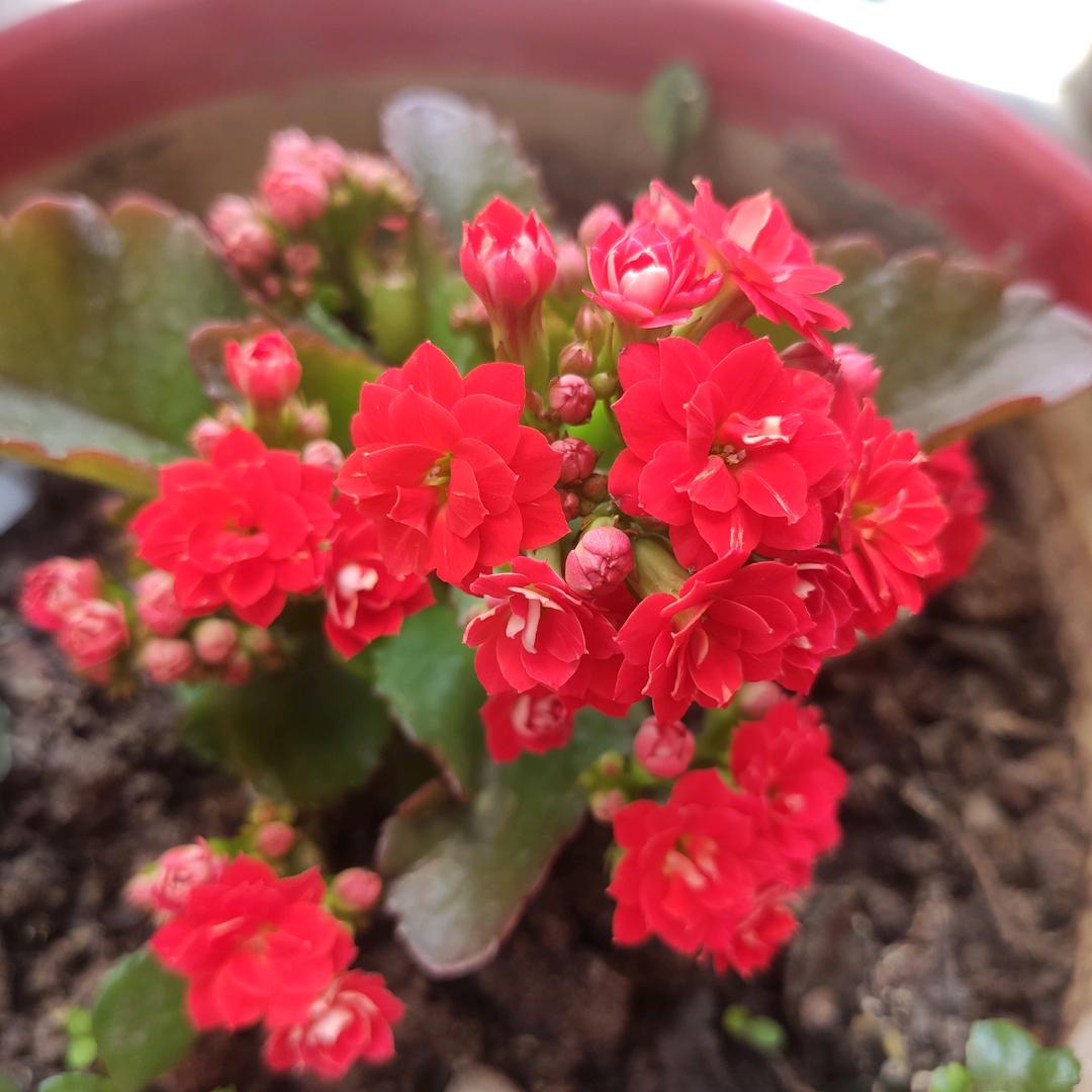 🍁🍂((🍁⥎🍁))🍂