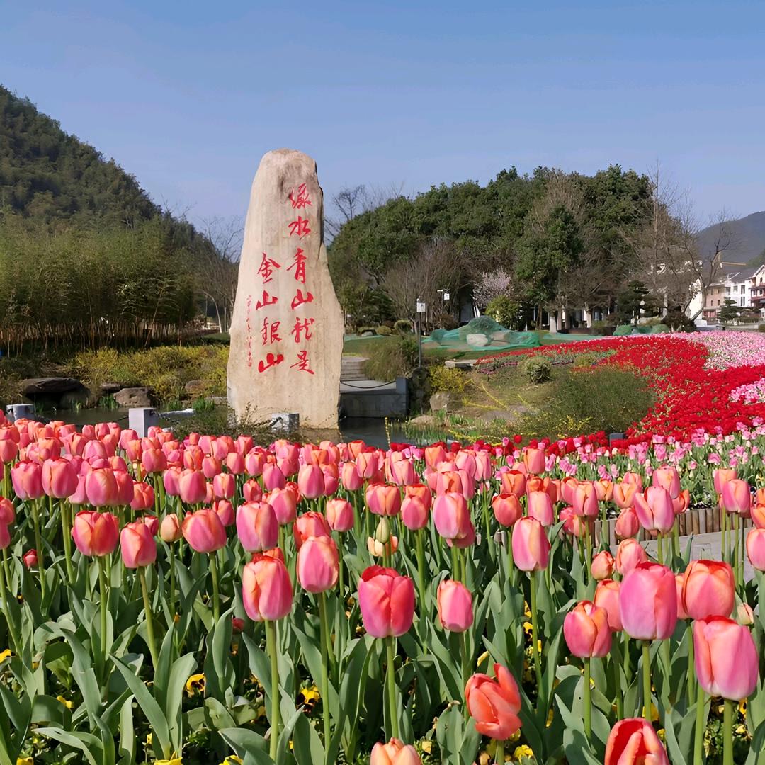 安吉两山信息官