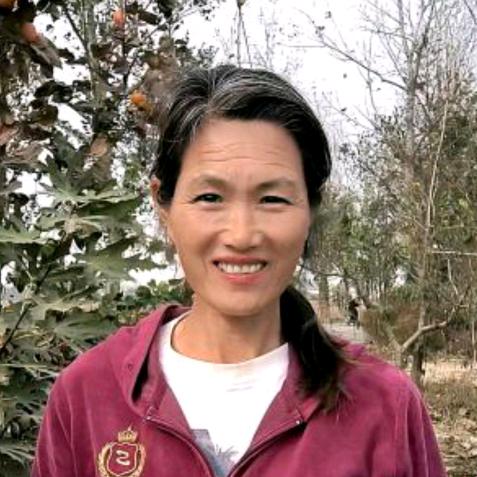 农村殷玲