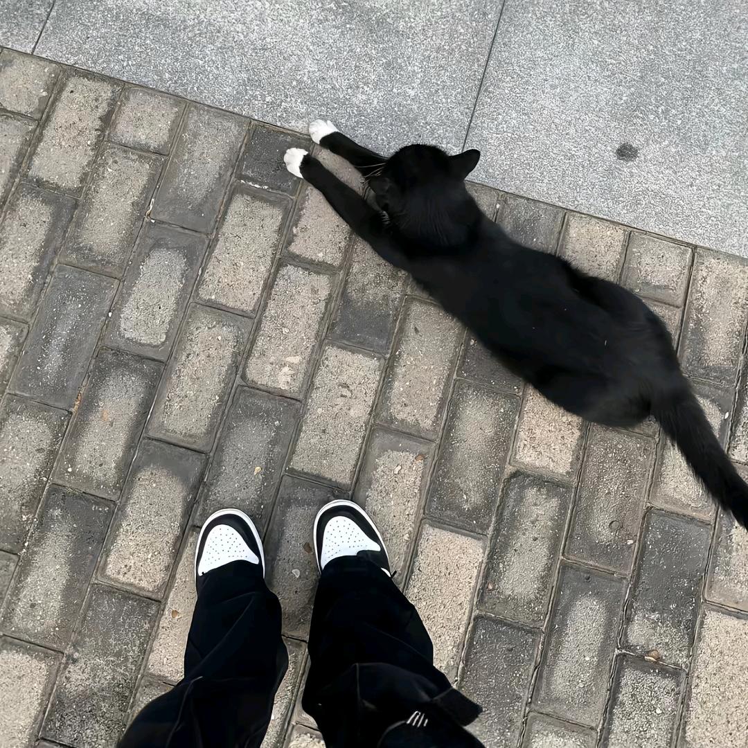 ᶻ