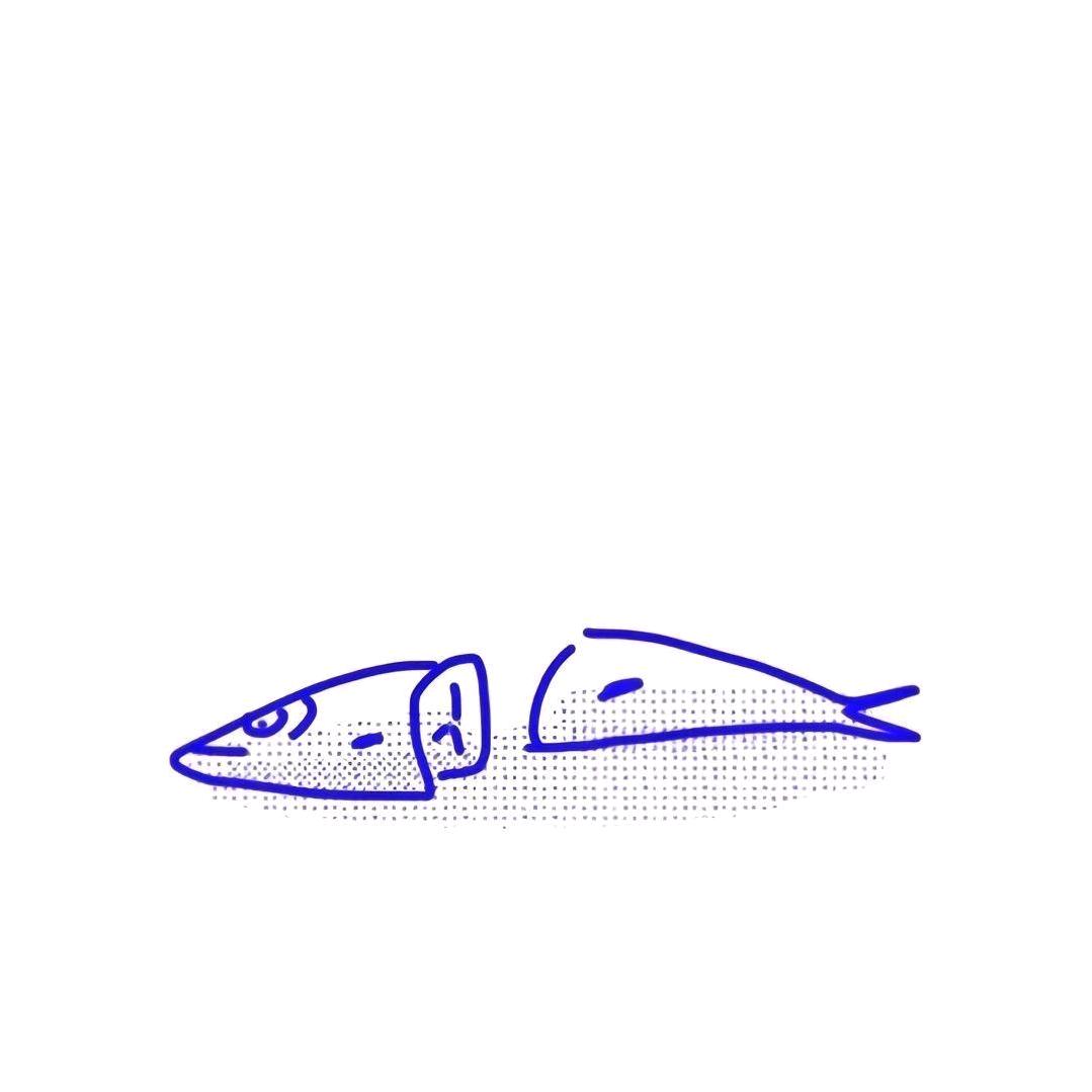 呆头鱼🐟