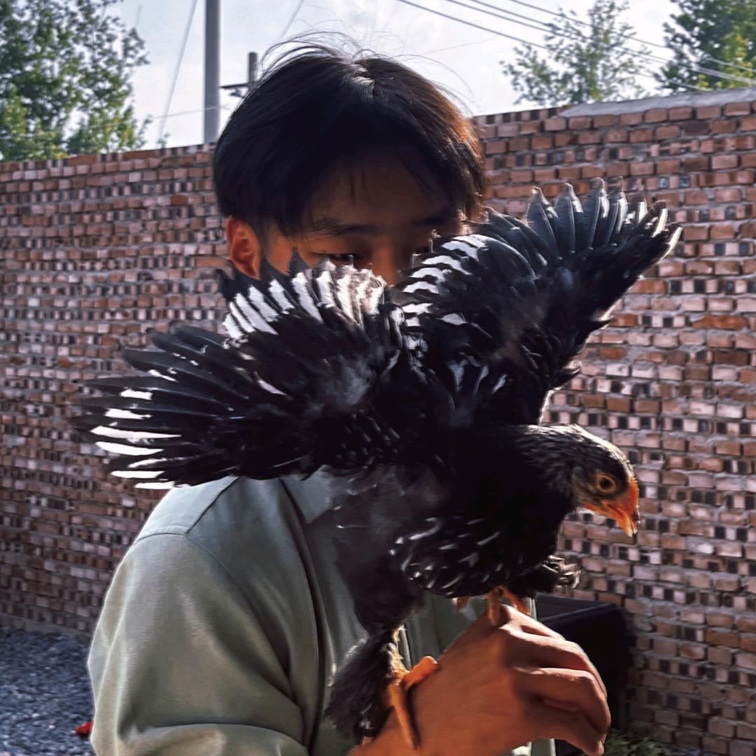 肖恩