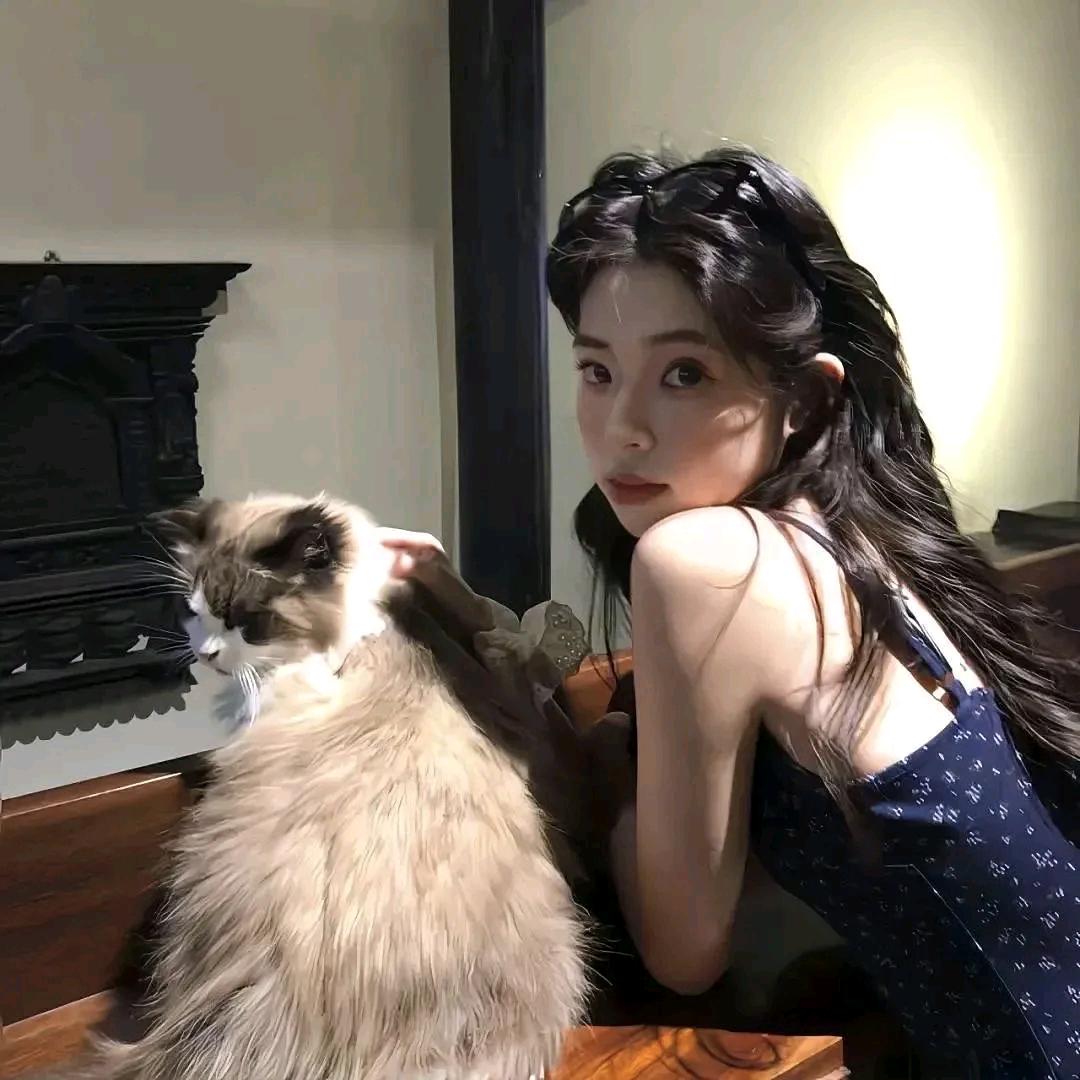 一只羊🐏