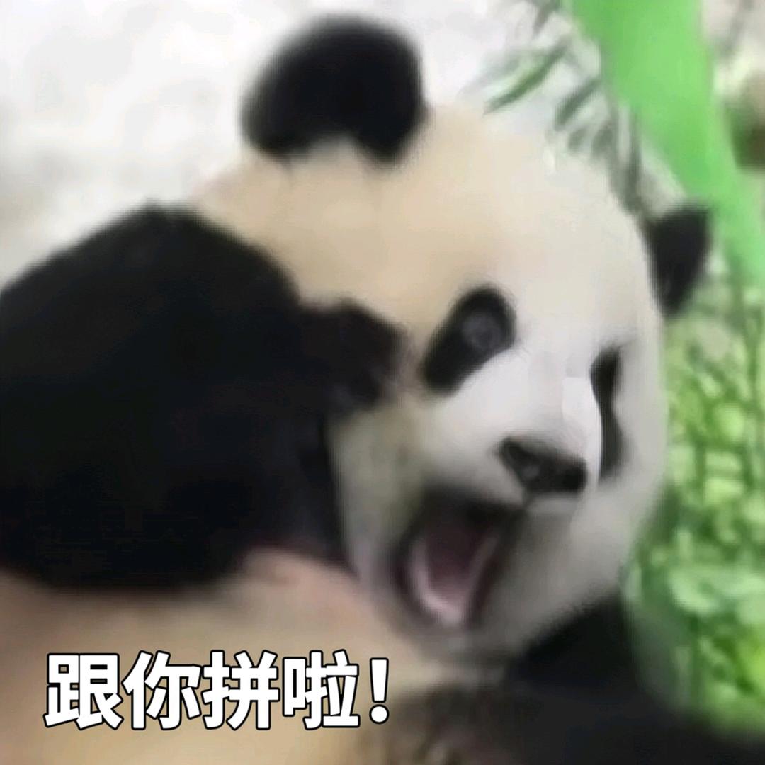 一个萝卜一个坑