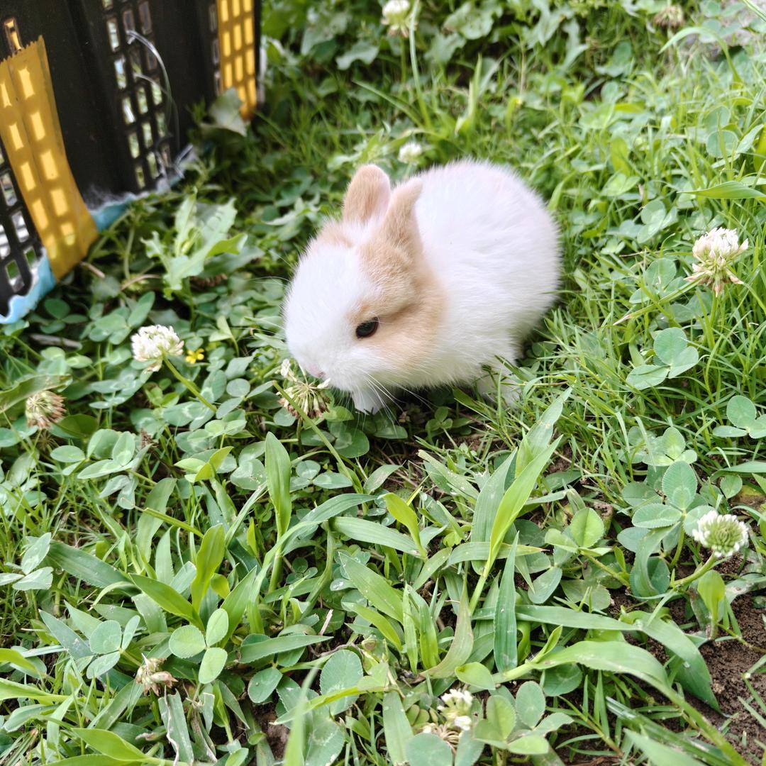 *.。(๑･∀･๑)*.。