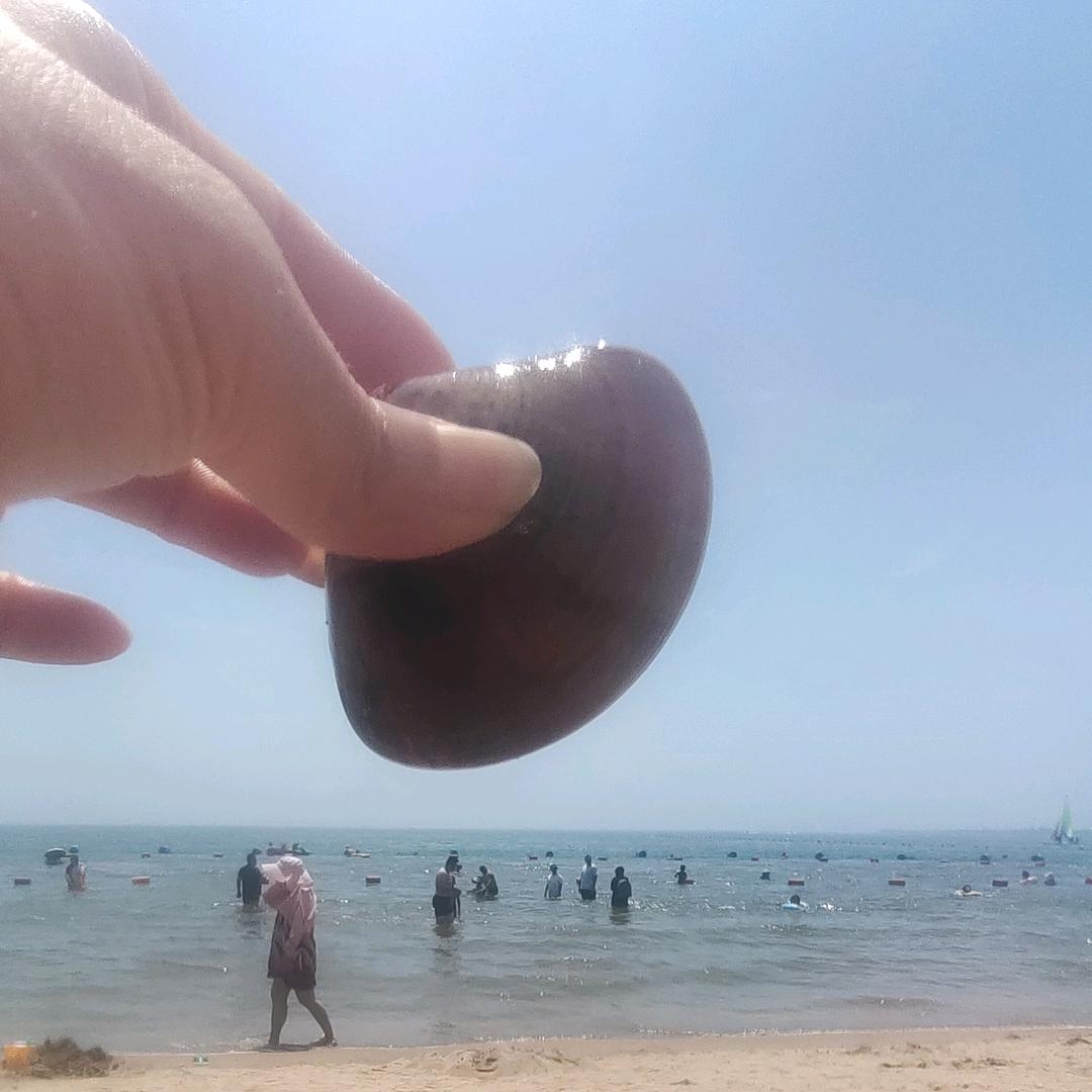 逗你玩