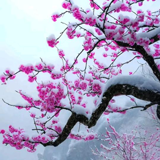 好物分享优质好物