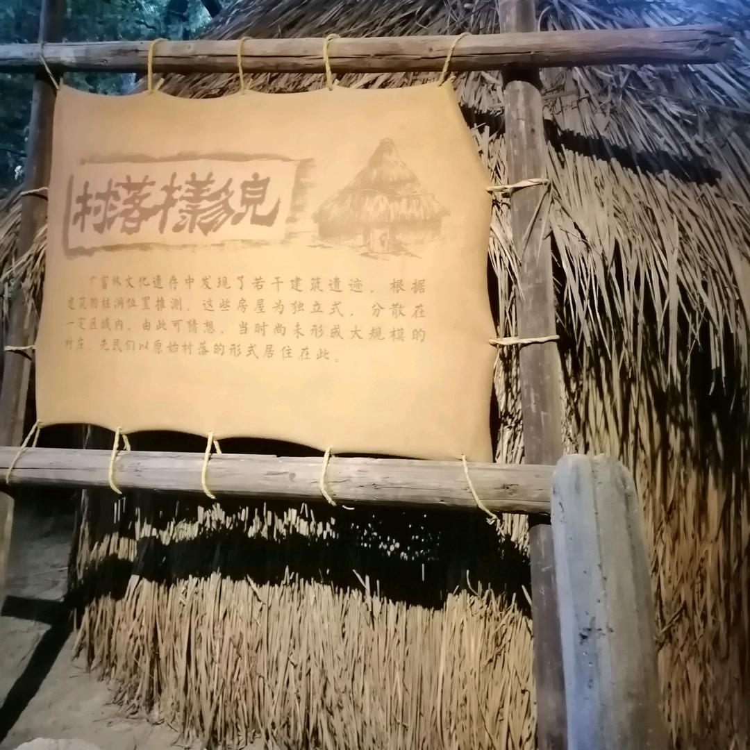 小 诚
