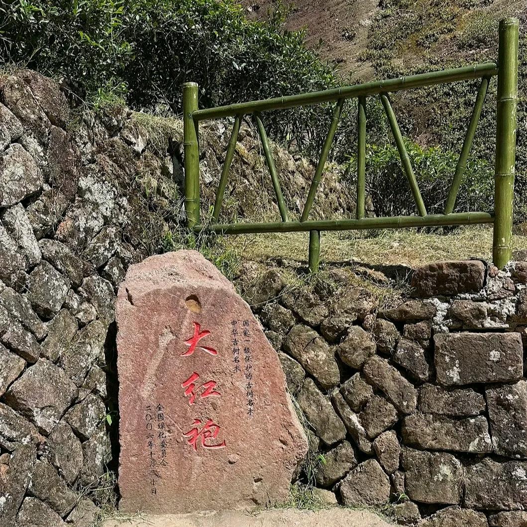 武夷山山龙谷源茶厂