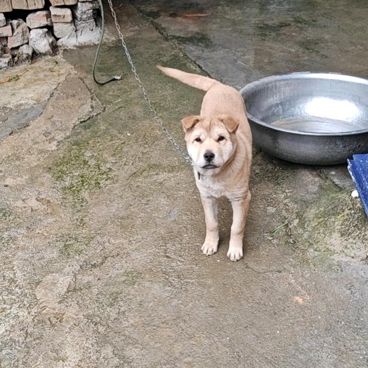 天赐