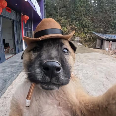 等李明白黄花菜都凉了