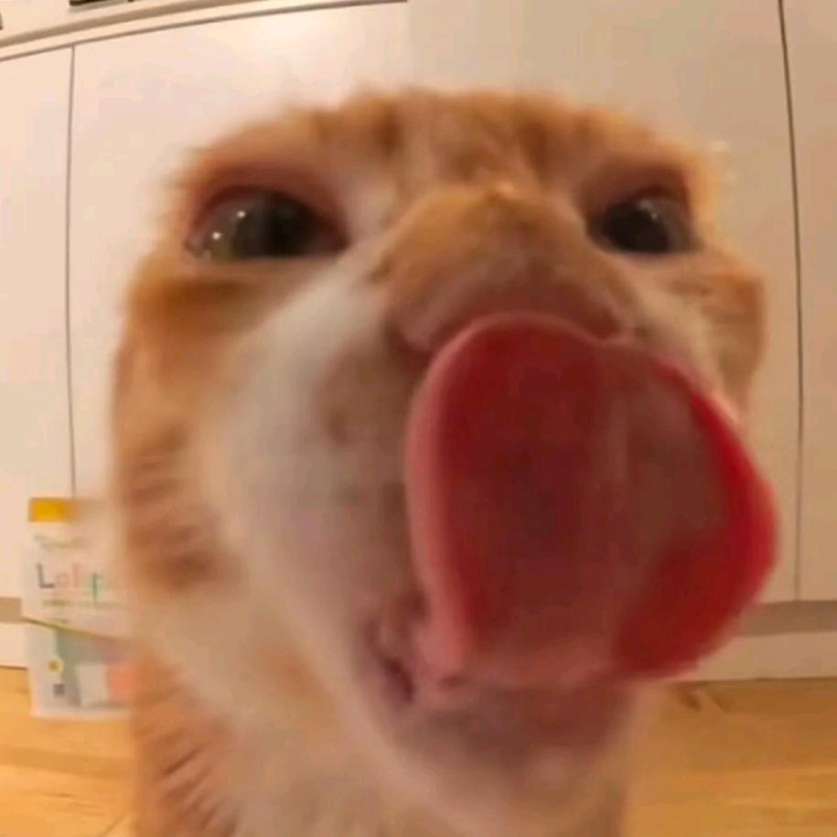 小索(娱乐主播）