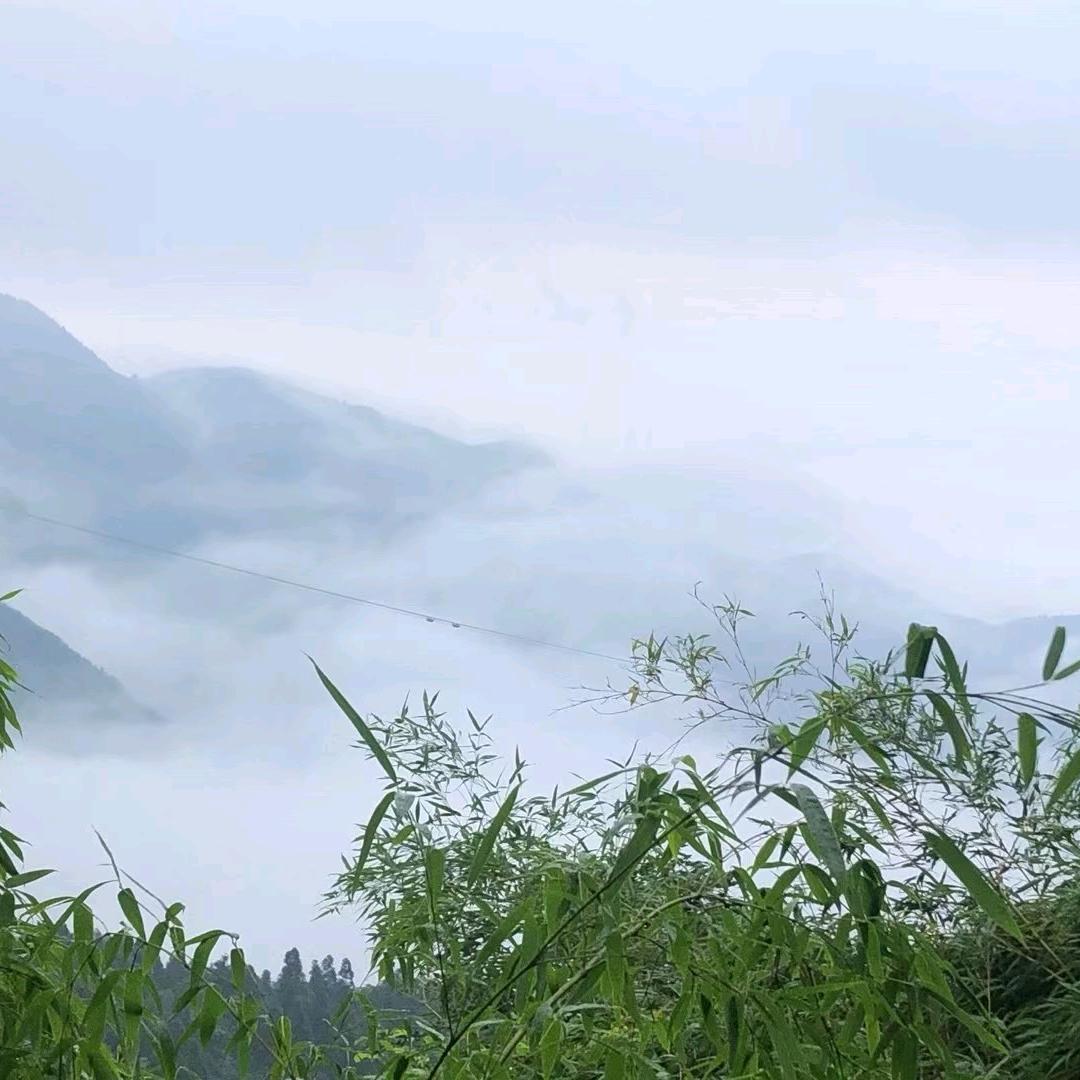 浅秋
