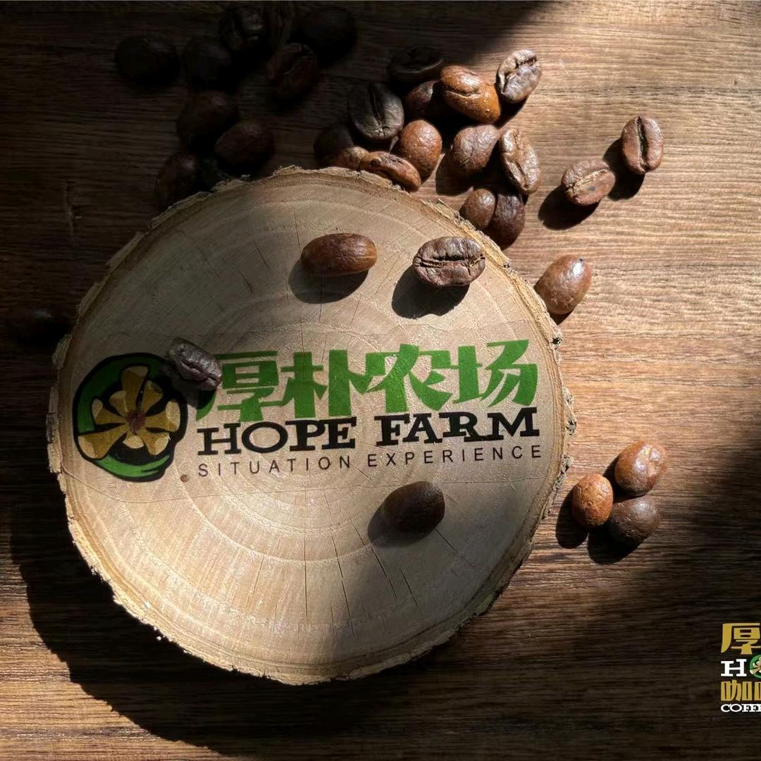 厚朴园野咖啡小屋