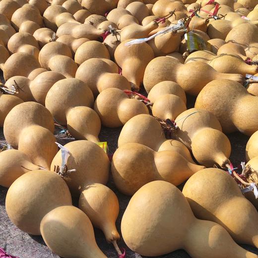 肖员外纳福葫芦