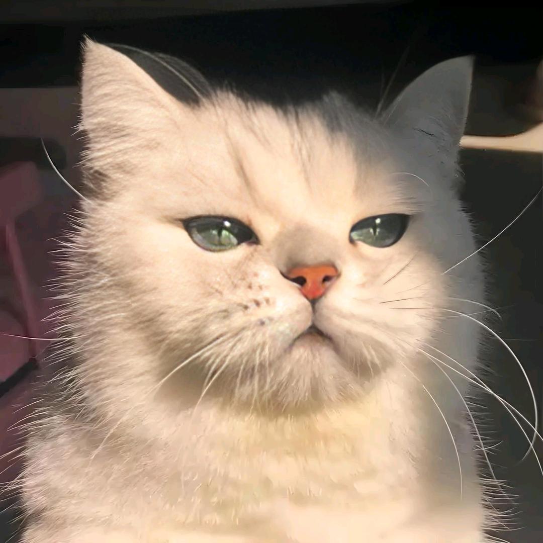 满山猴子我腚最红