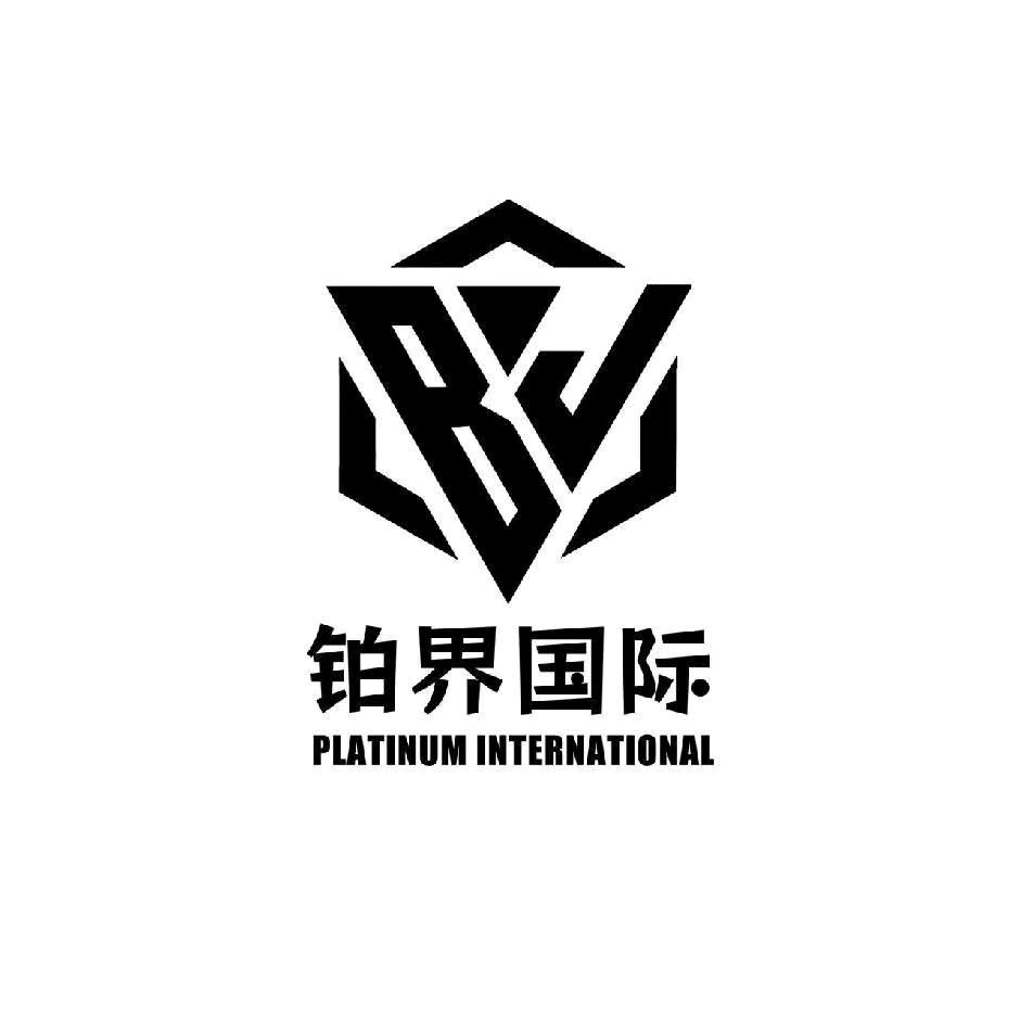 铂界国际2