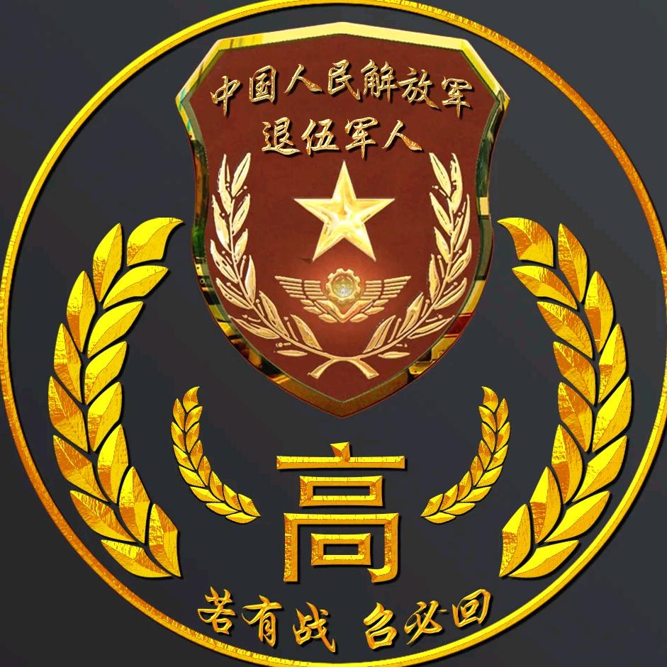 高飞远翔