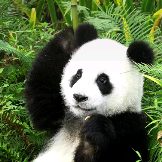 浪🌸迹🌸天🌸涯