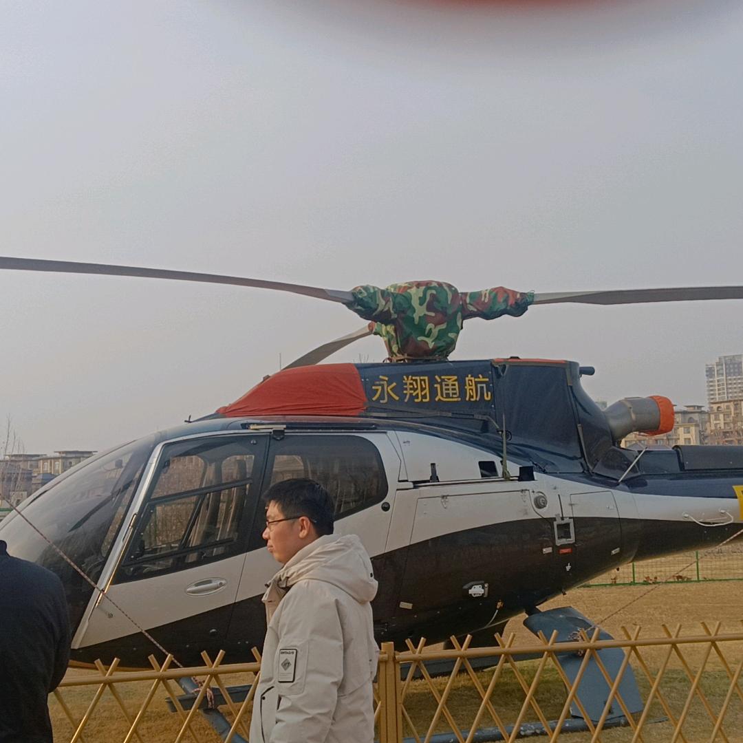 师