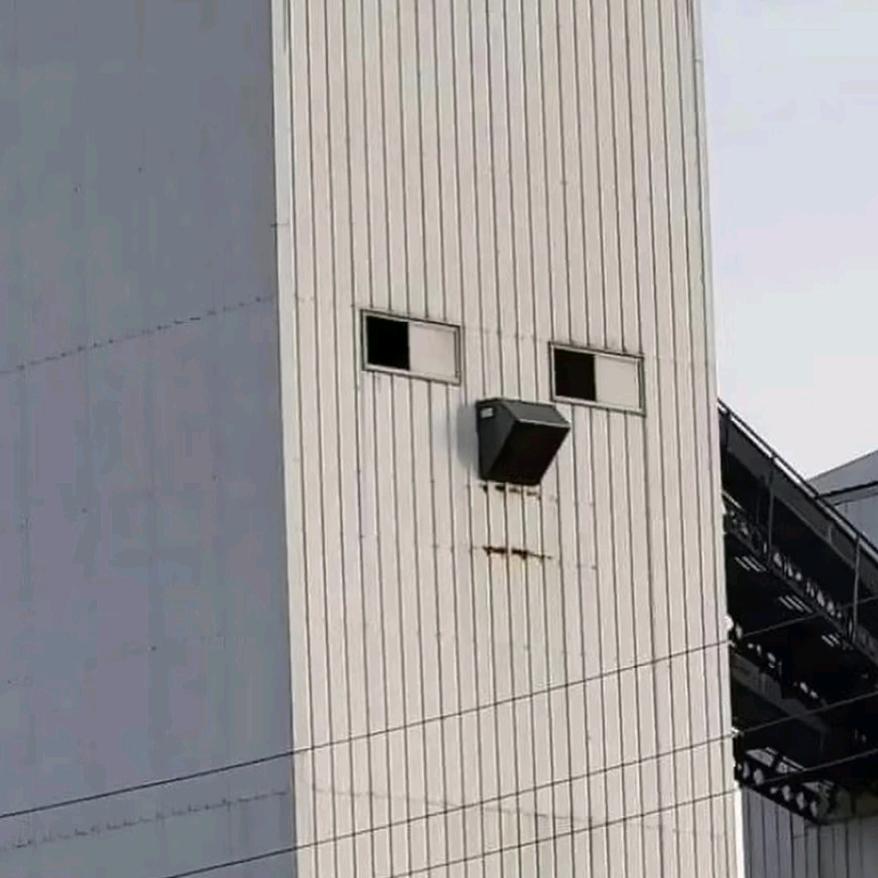 麦子