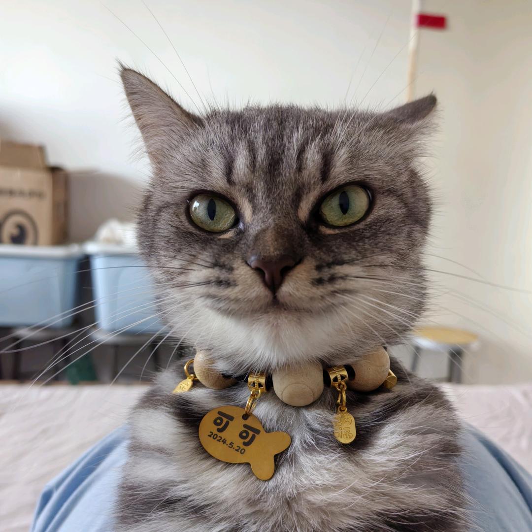💫小老虎👑妙洁💫