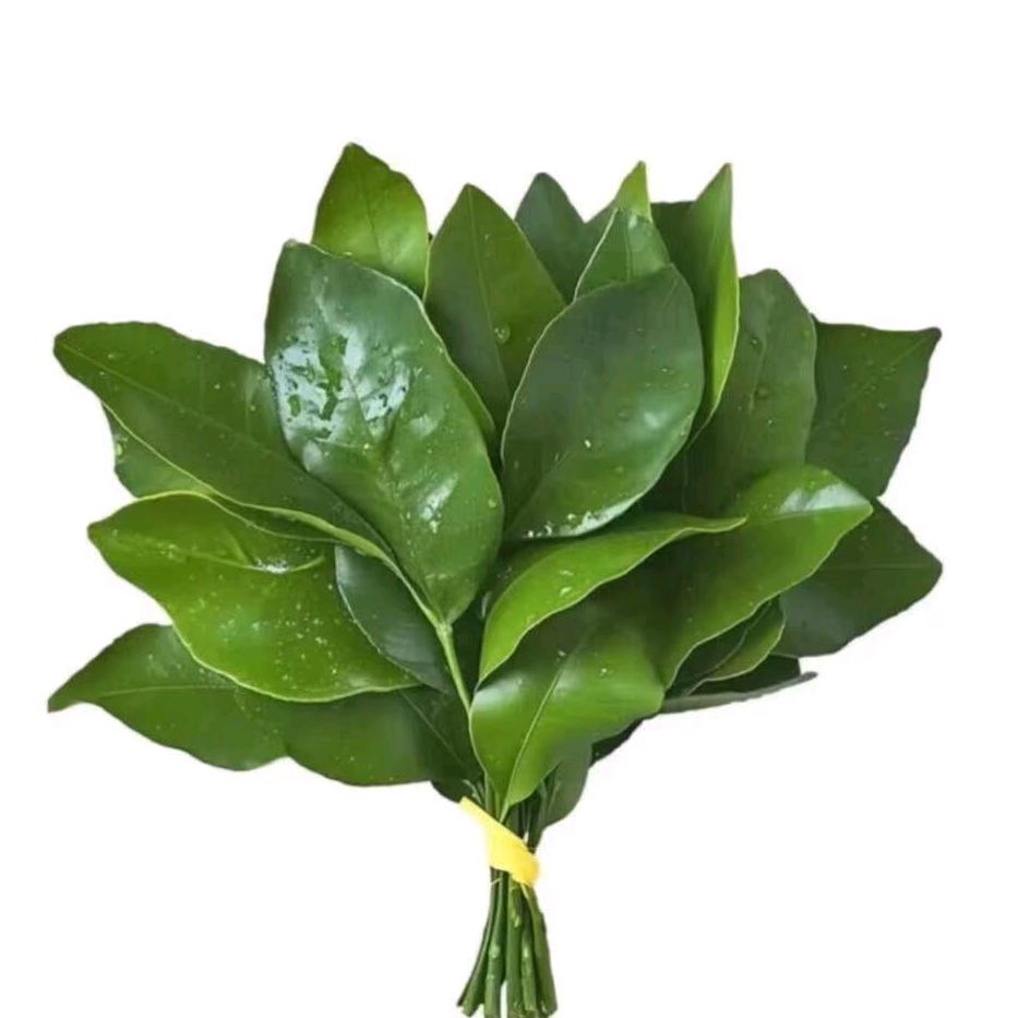 我是瘦子