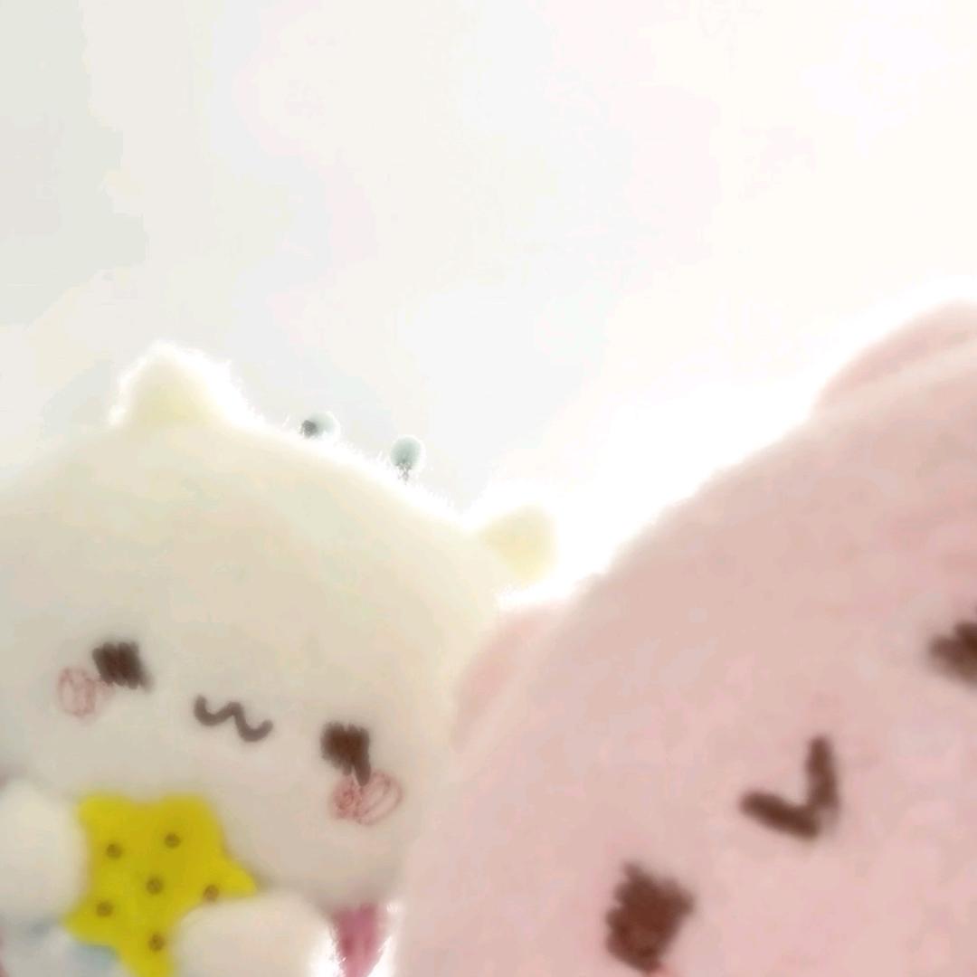 小辉机来啦.