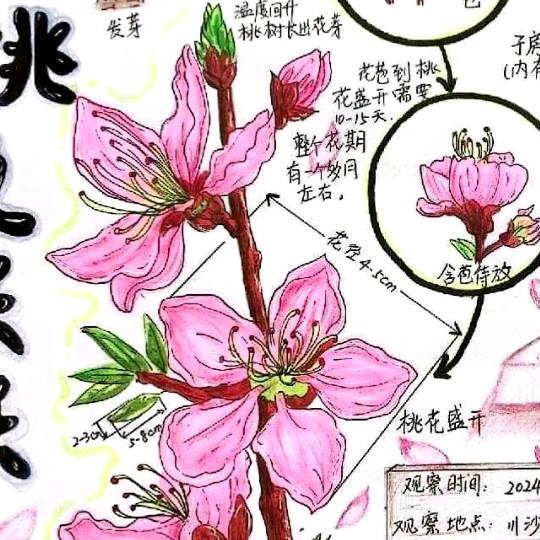 ℒ💕⃨ꪤ美丽🌈快乐ઈ࿐