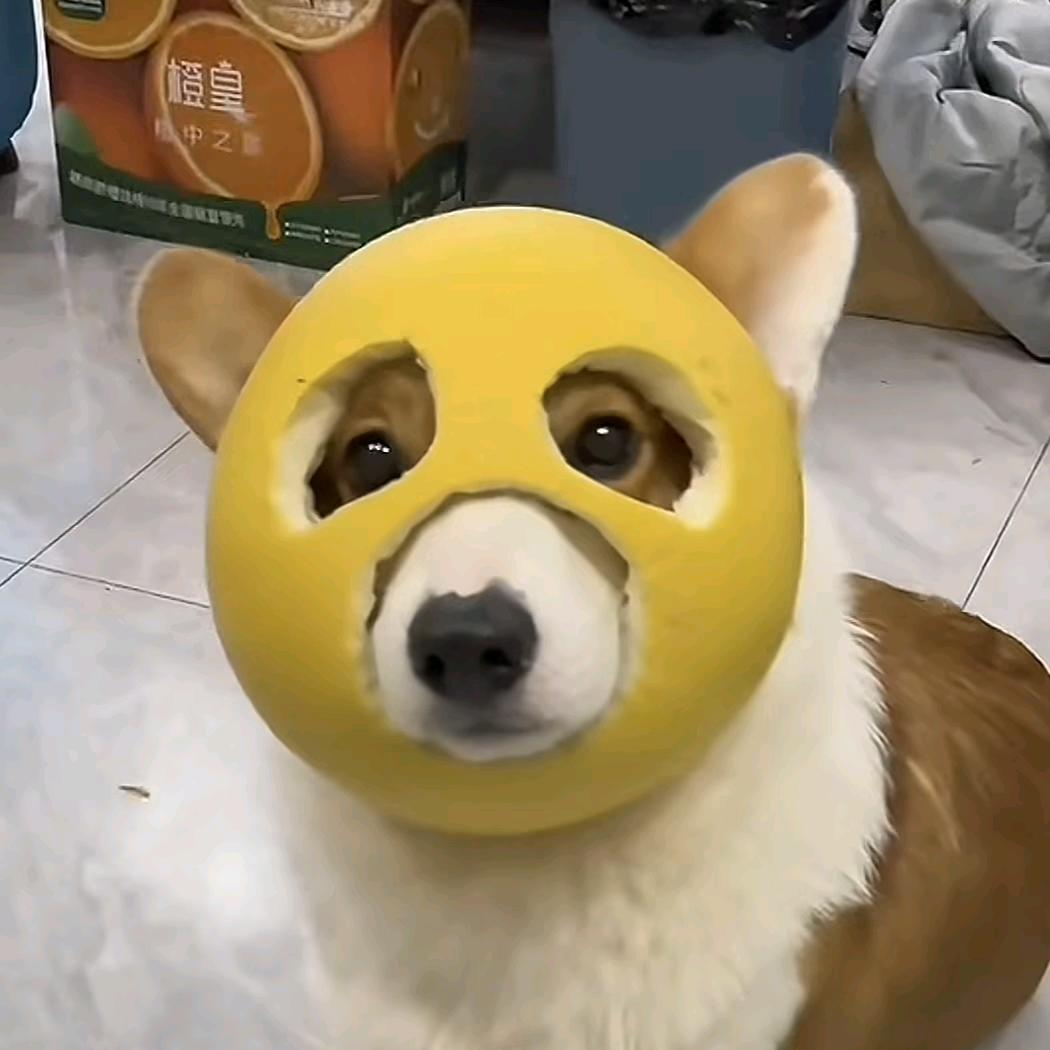 MOKSA