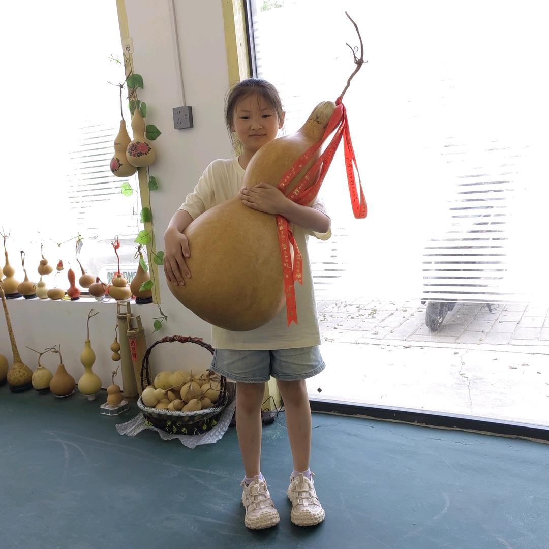 茉莉花