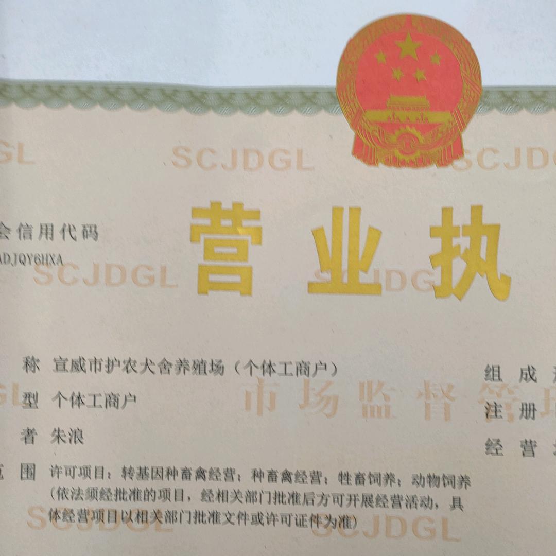 宣威护农犬舍  （家彦）