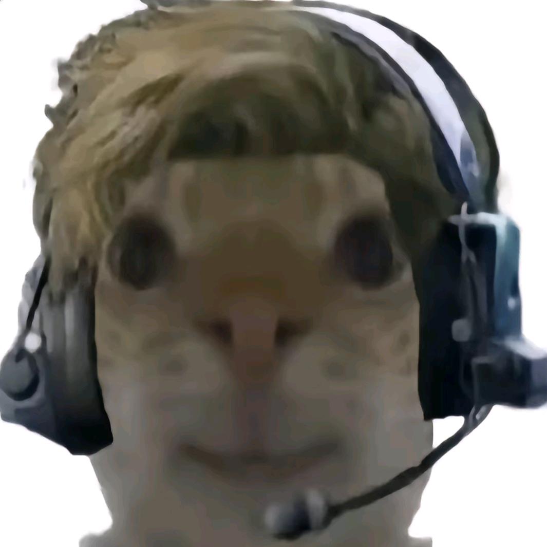 我家有个小八哥