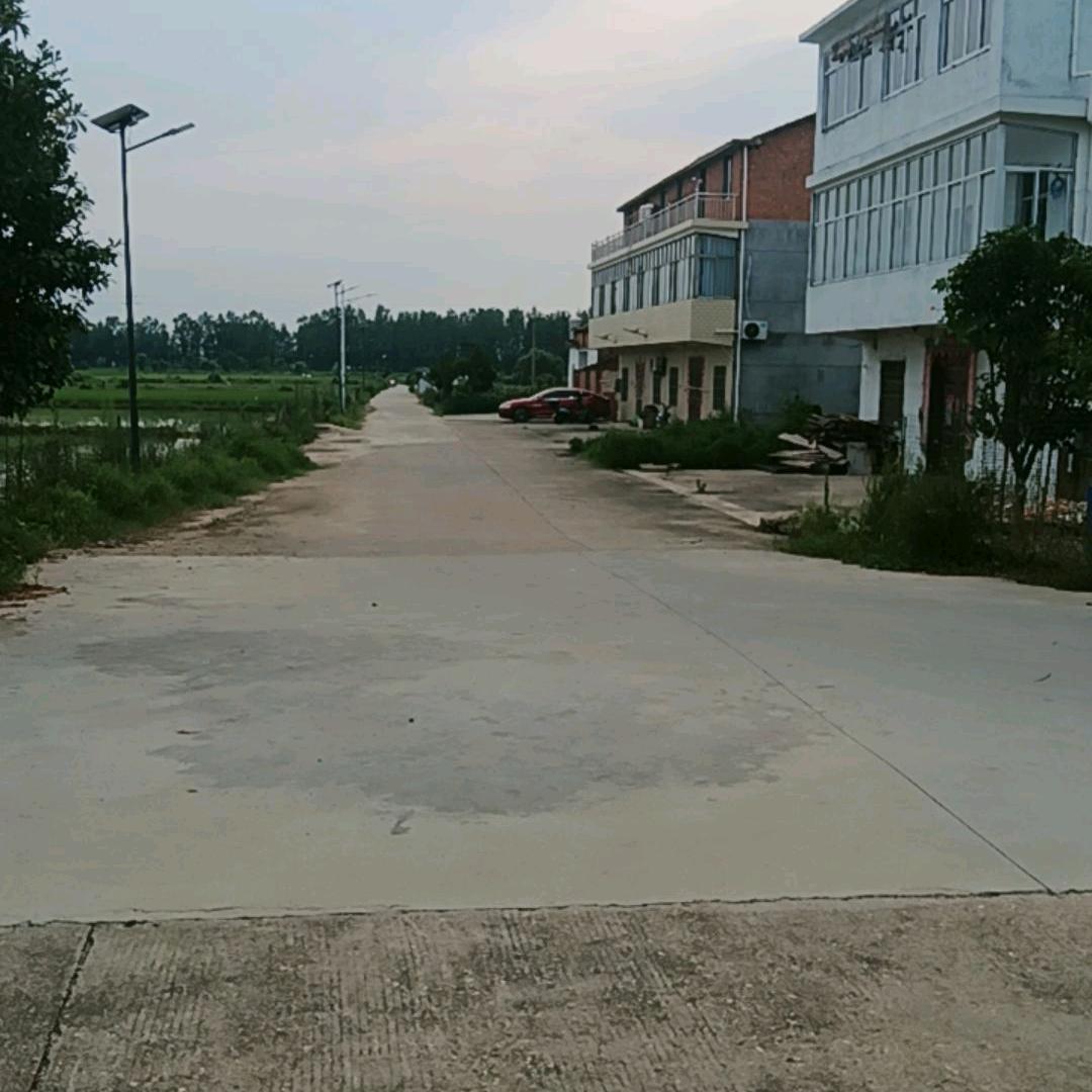 李金平