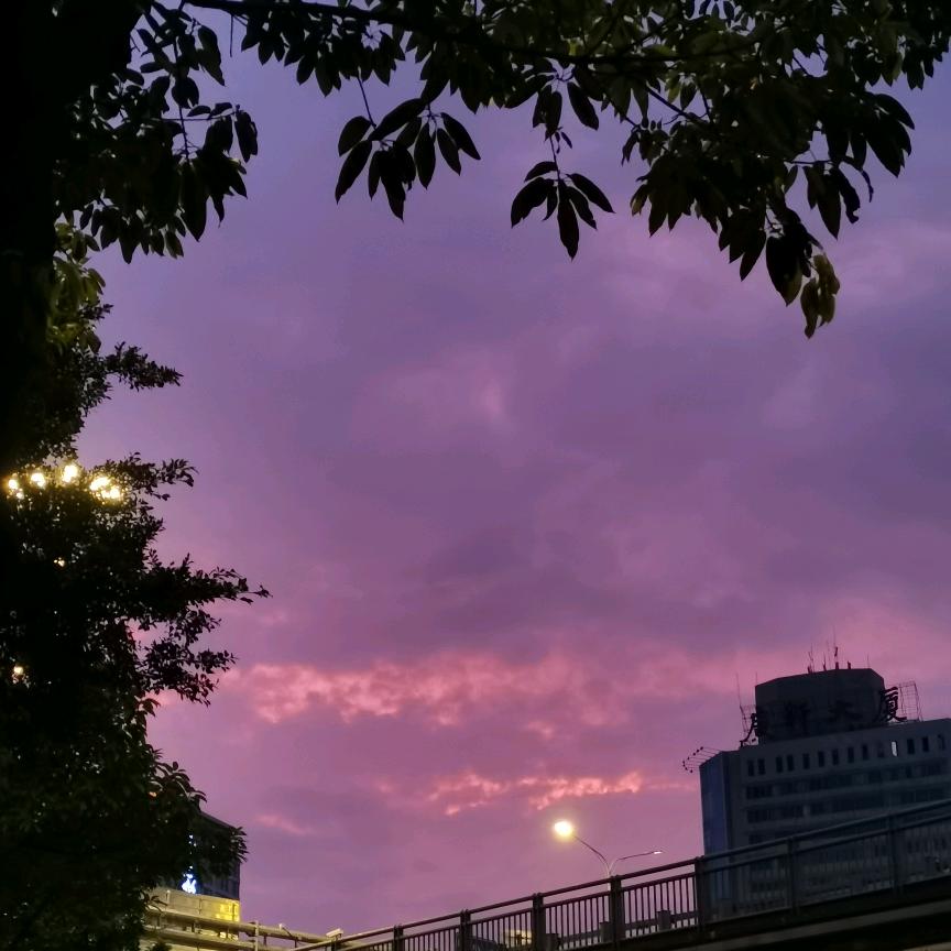 木木夕Hhh