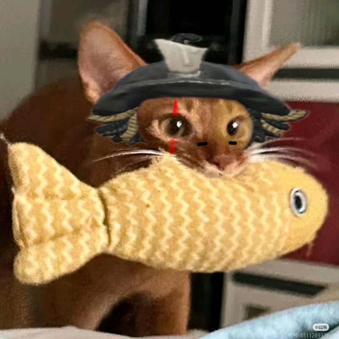 AOEIUY（补药连赞）