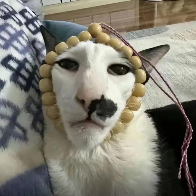 杰瑞的杰