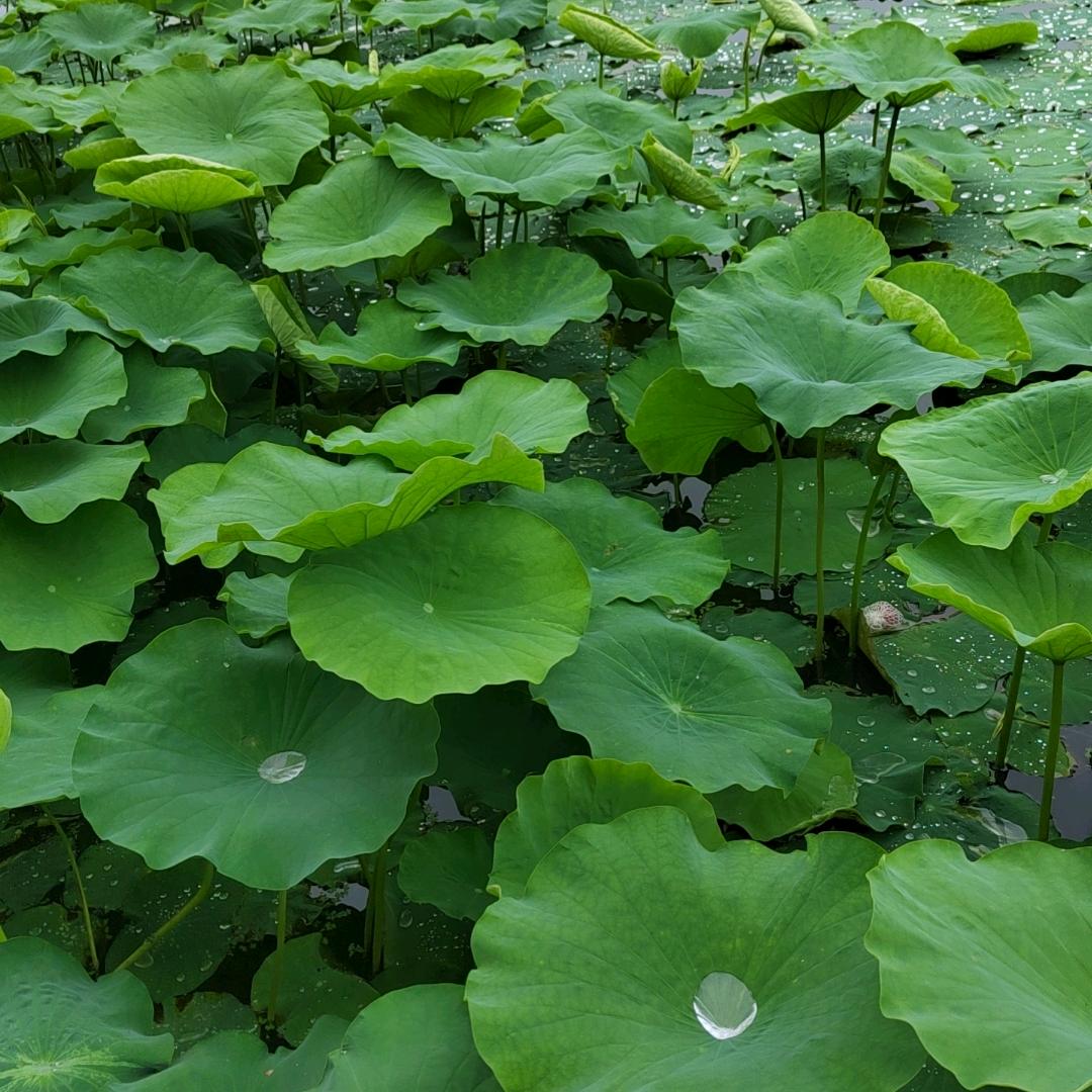 记性差