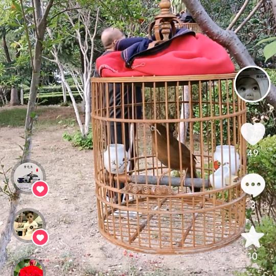 天使给我带来爱