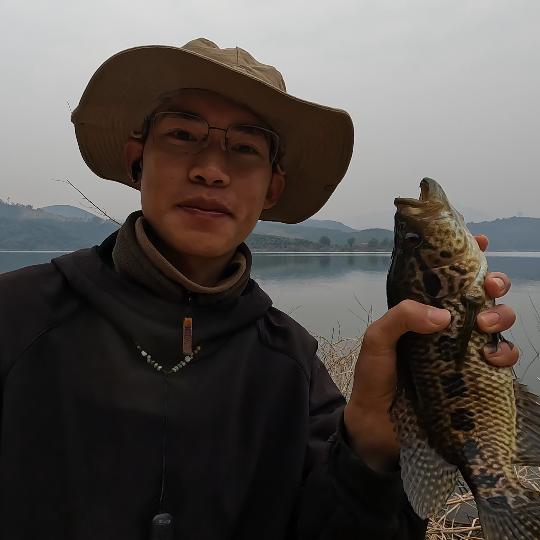 清河半醒