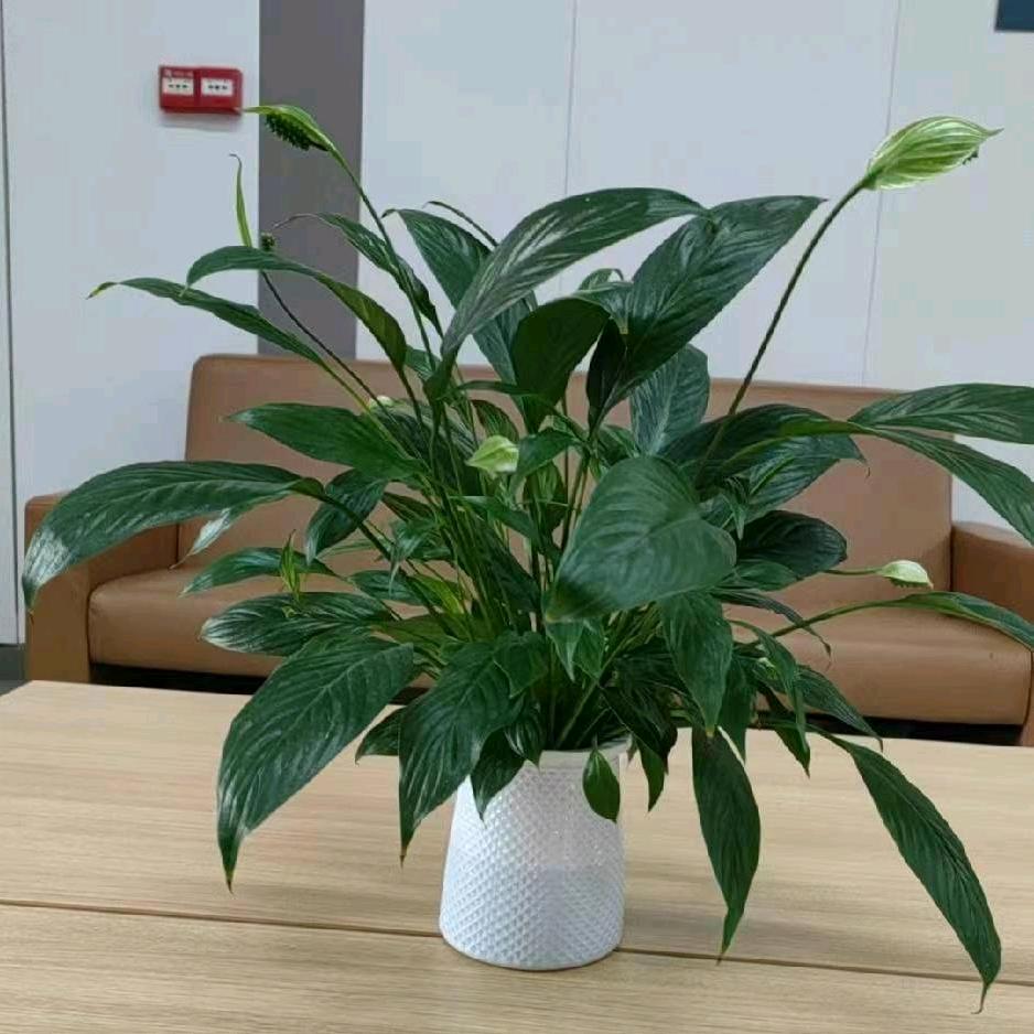 这就是公平公正吗