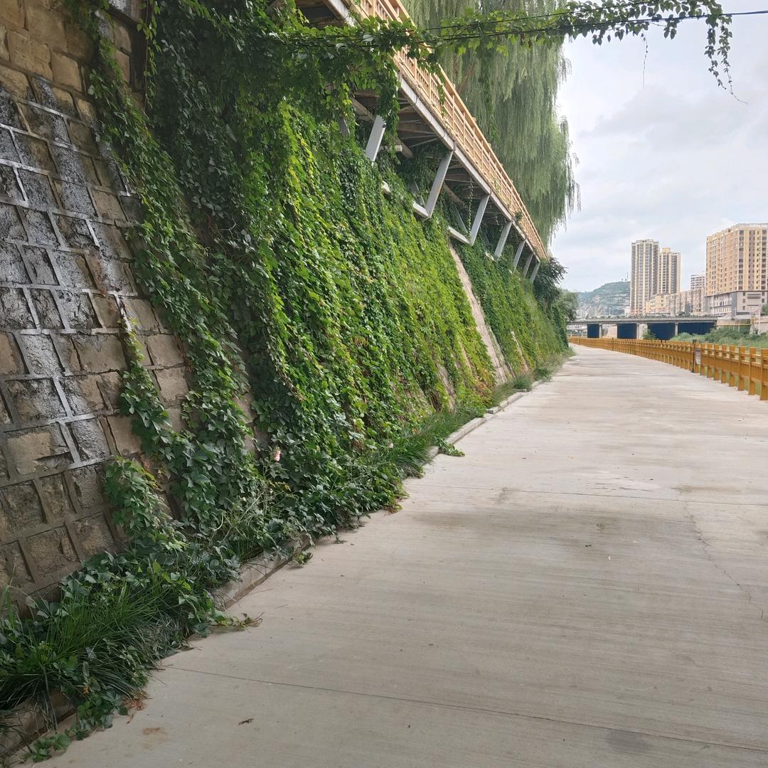 欢乐一家大陕北