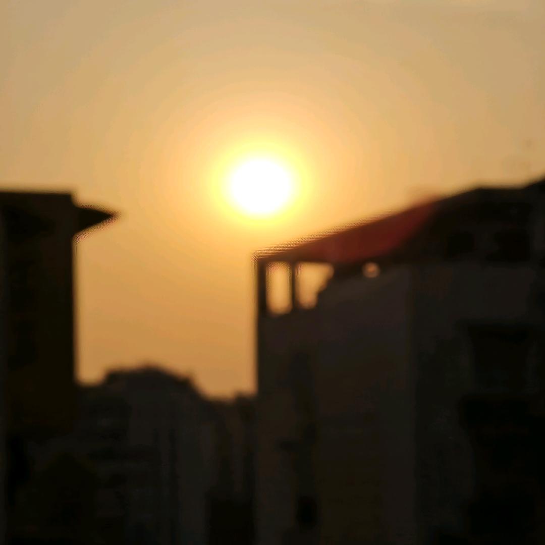 我也想知道为何言秋