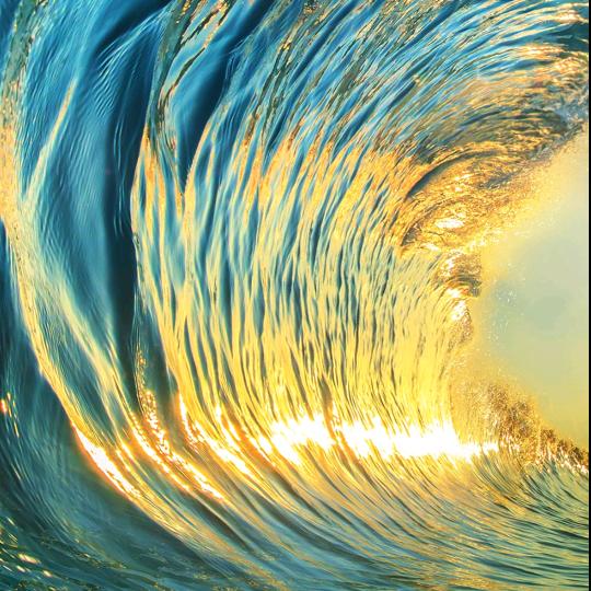 金老师国学讲堂