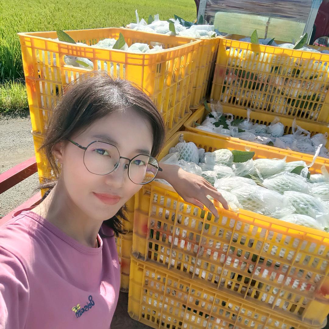 广西红心芭乐果园