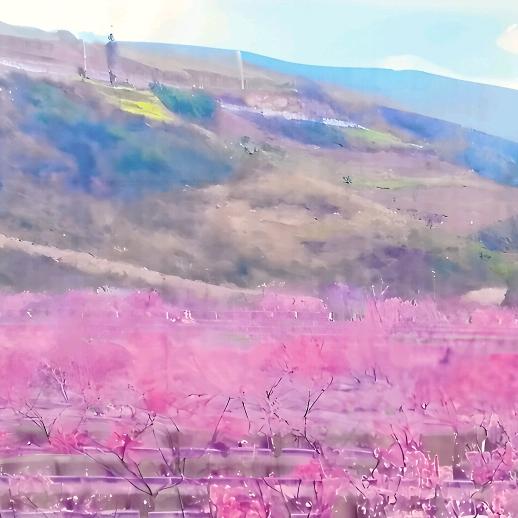 一个转身就是一辈子