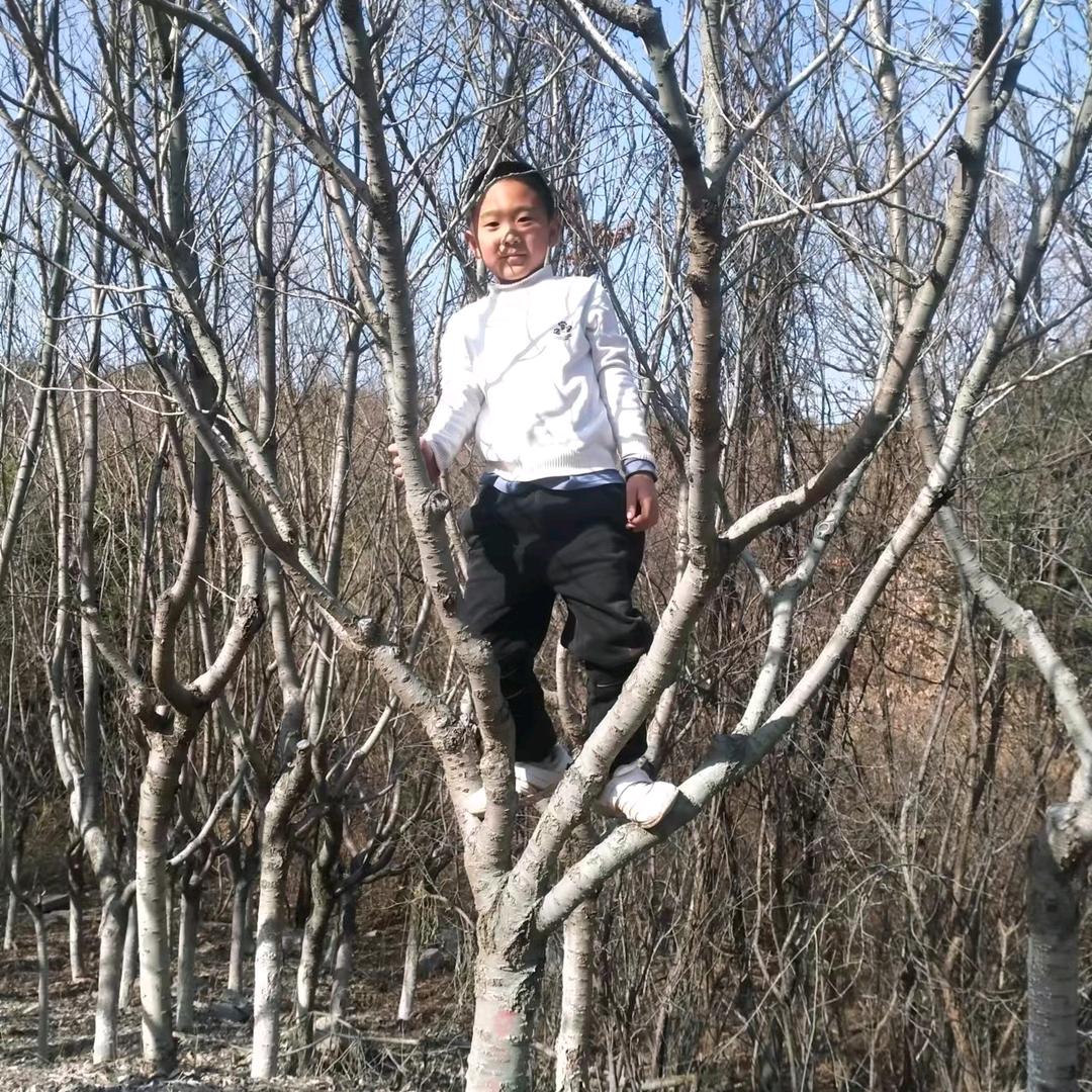 小可爱