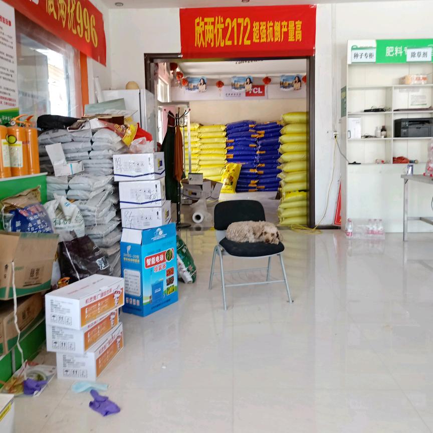 邳州大蒜新河陈胜农资