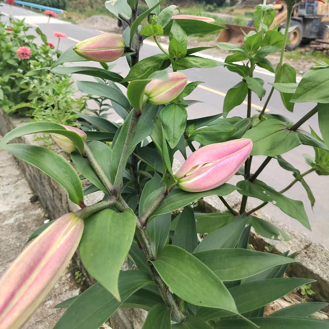 风清教育说事